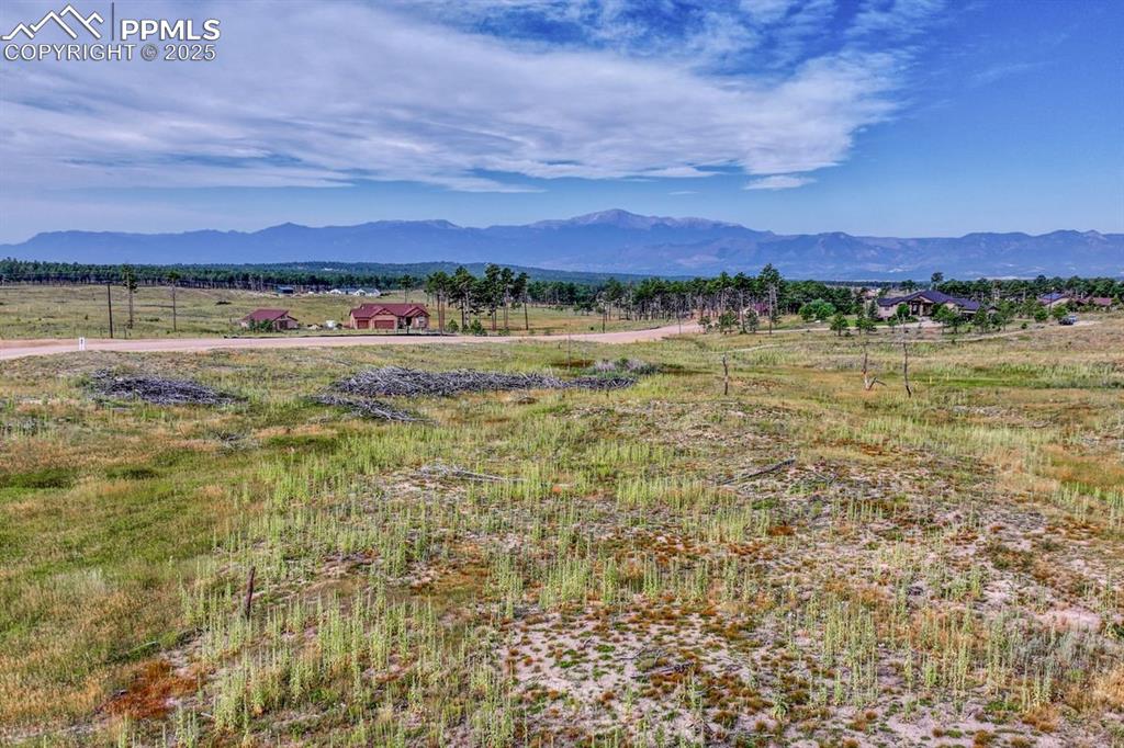 Image 13 of 22: View