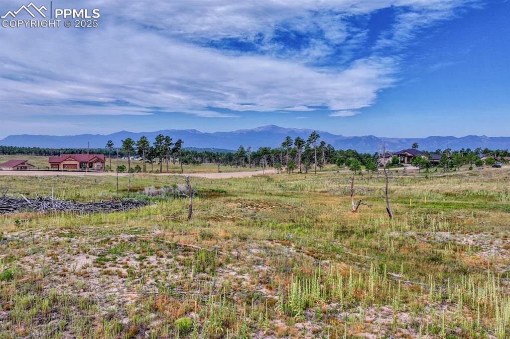 Image 15 of 22: View