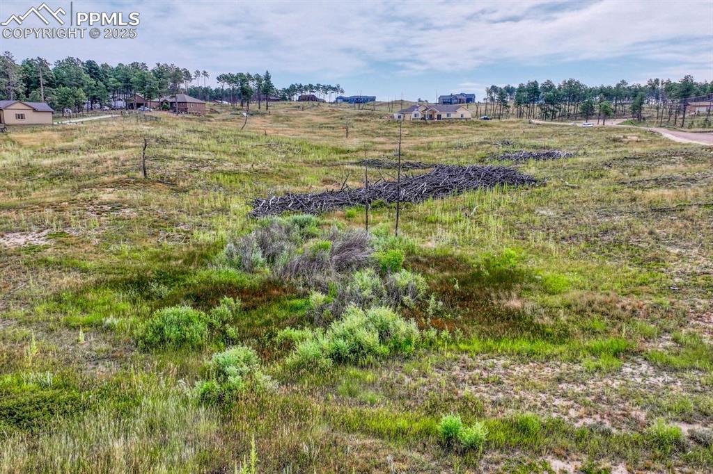 Image 17 of 22: Other