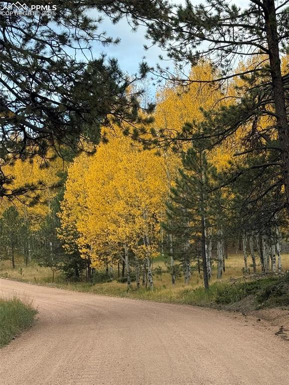 Image 44 of 45: Community