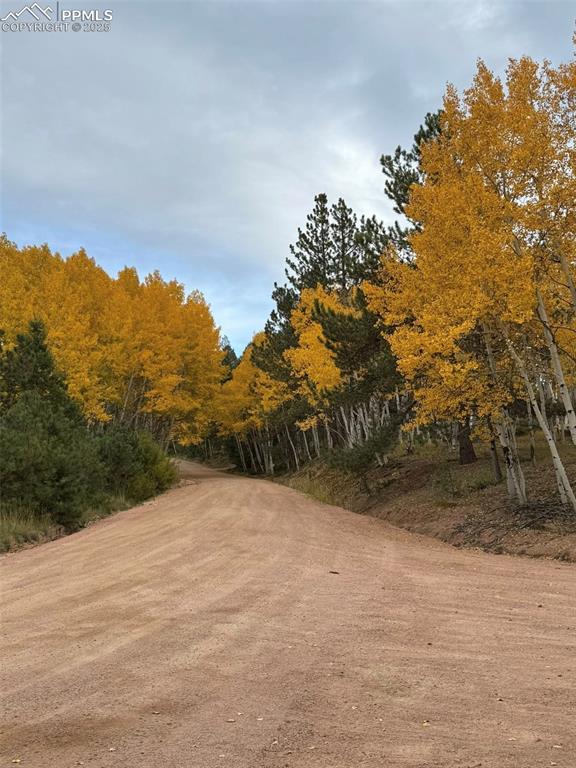 Image 45 of 45: Other