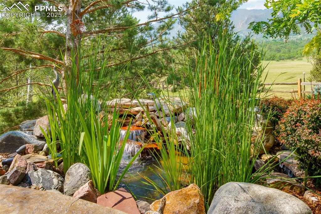 Image 27 of 49: Pond and waterfall on patio with perennial plants