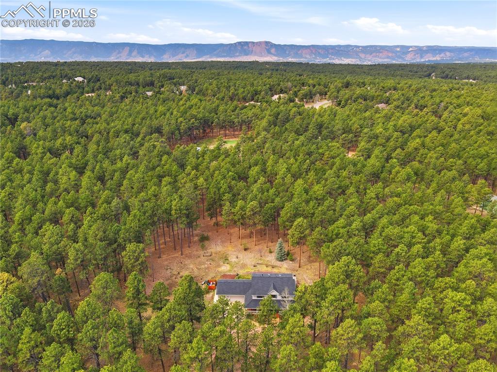 Image 3 of 50: Aerial View