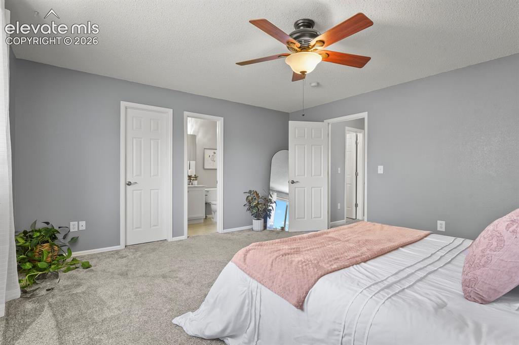 Image 19 of 46: Carpeted room featuring light gray walls, a ceiling fan with light fixture,