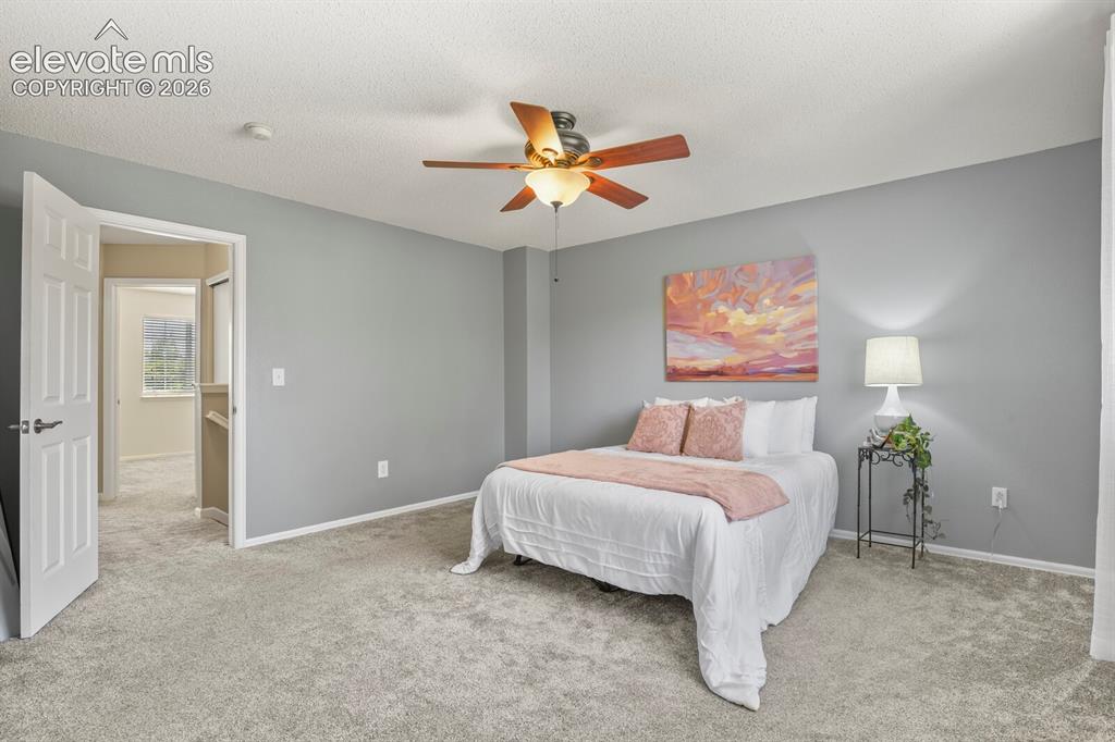Image 20 of 46: Carpeted room with a ceiling fan featuring wood-finish blades, a white pane