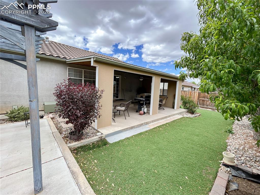 Image 19 of 44: Back of Structure