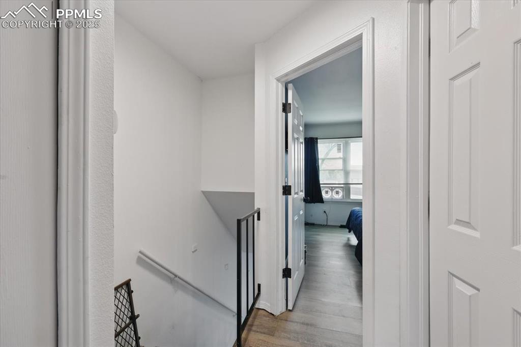 Image 11 of 19: Other