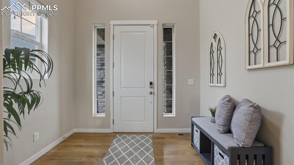 Image 5 of 50: Low maintenance, xeriscaped yard.