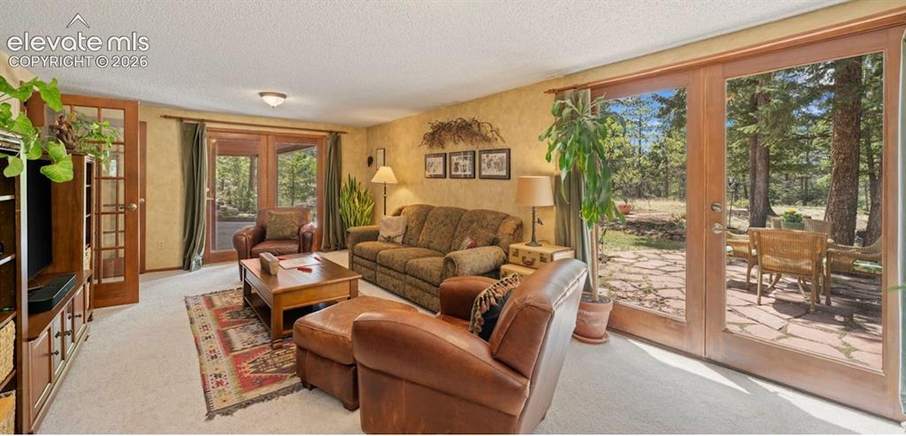 Image 31 of 42: Lower Level Family Room * French Doors provides access to walk-out to lovel