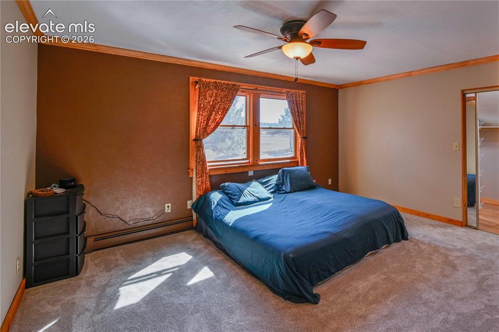 Image 17 of 40: Plush carpeting, ceiling fan with integrated lighting, wood-trimmed window,