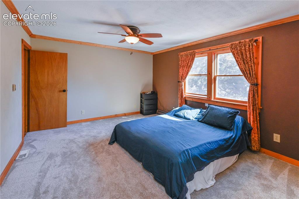 Image 18 of 40: Carpeted flooring, natural wood door, wood trim, dual windows, and a ceilin
