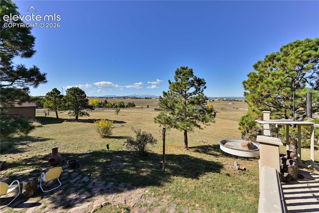 Image 33 of 40: Expansive exterior space with natural ground cover, mature evergreen trees,