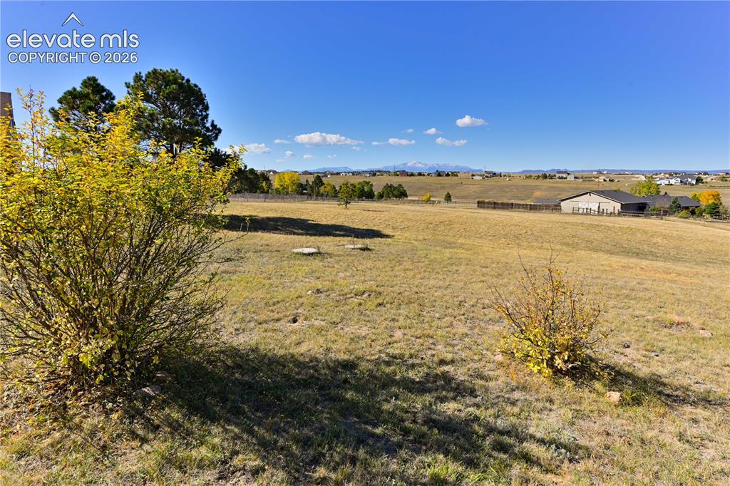 Image 34 of 40: Expansive undeveloped land featuring natural grasses and scattered deciduou