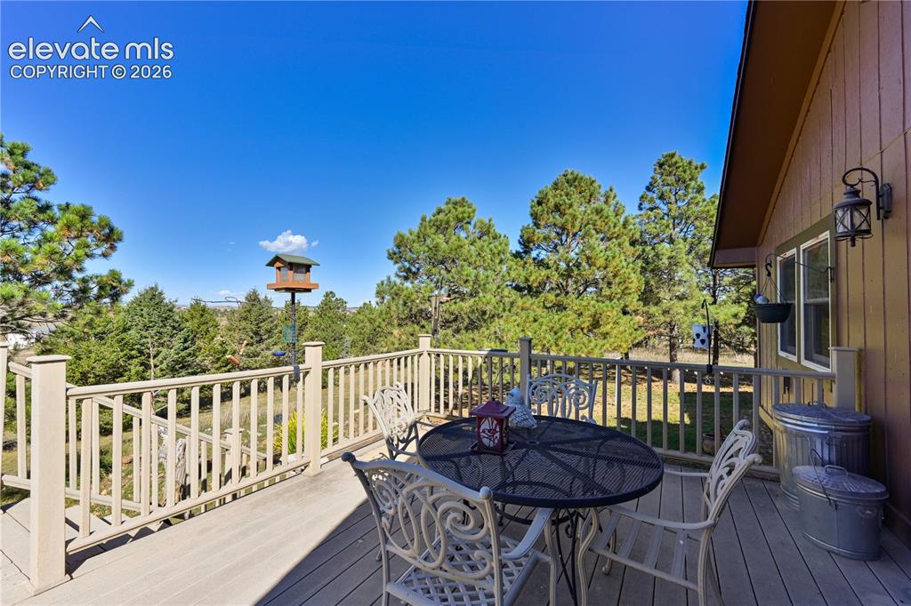 Image 9 of 40: Expansive outdoor deck with a sturdy railing system, bordered by mature eve