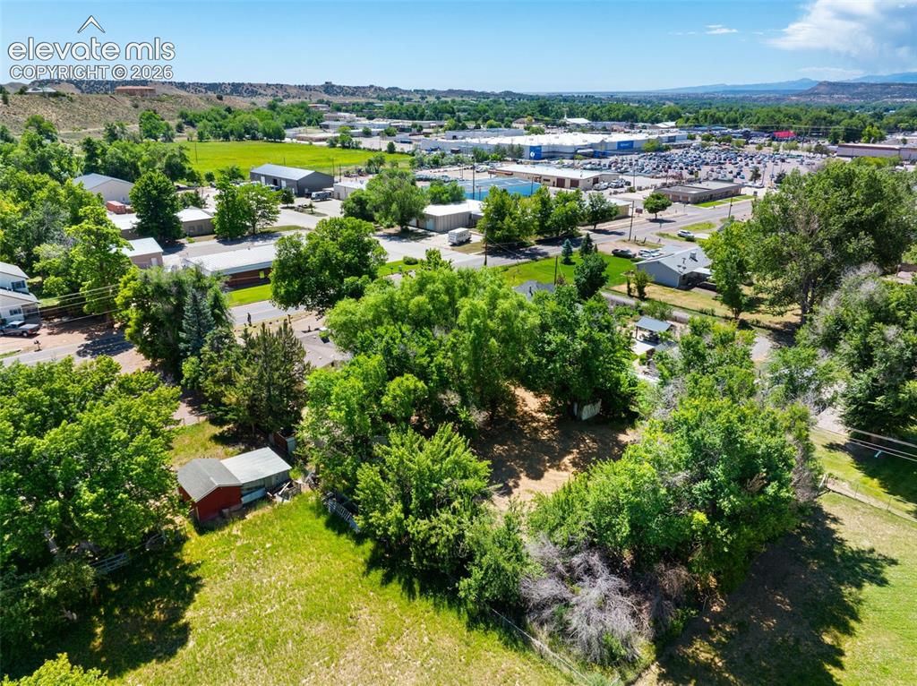 Image 35 of 36: Expansive undeveloped lot featuring mature trees and a grassy field