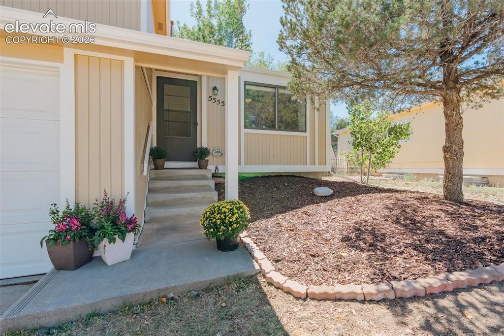 Image 2 of 33: Inviting concrete entry with a dark-tone door, cream-tone siding, and a bui