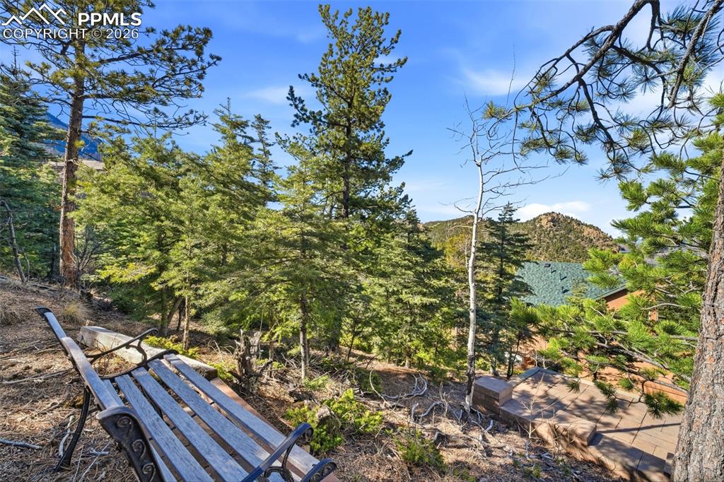 Image 29 of 50: Community