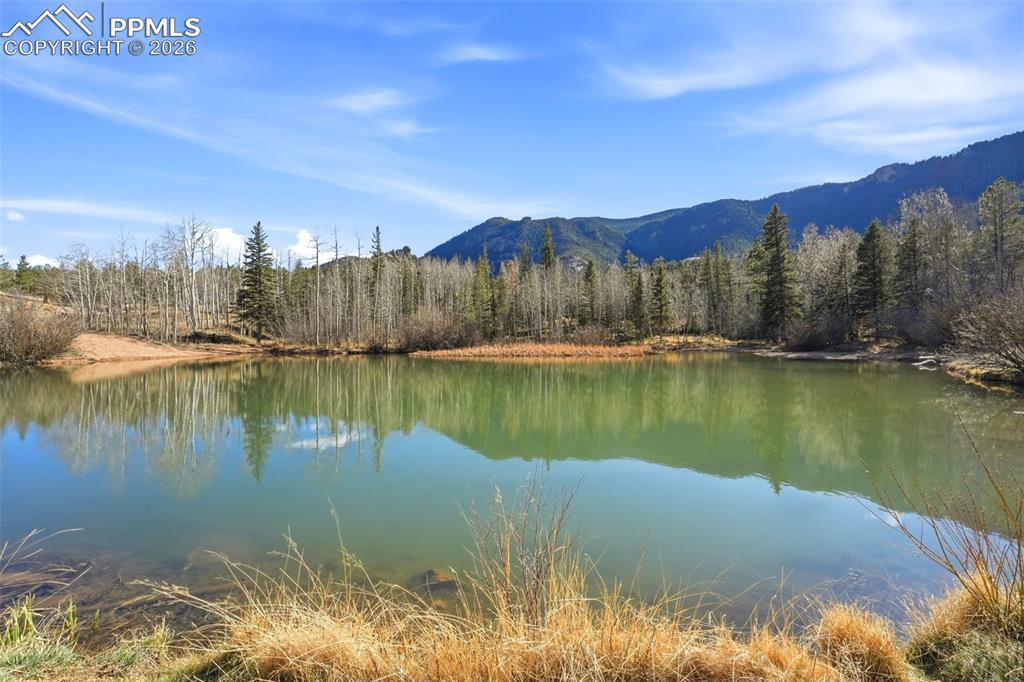 Image 30 of 50: View