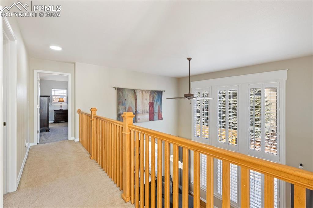 Image 16 of 50: Other