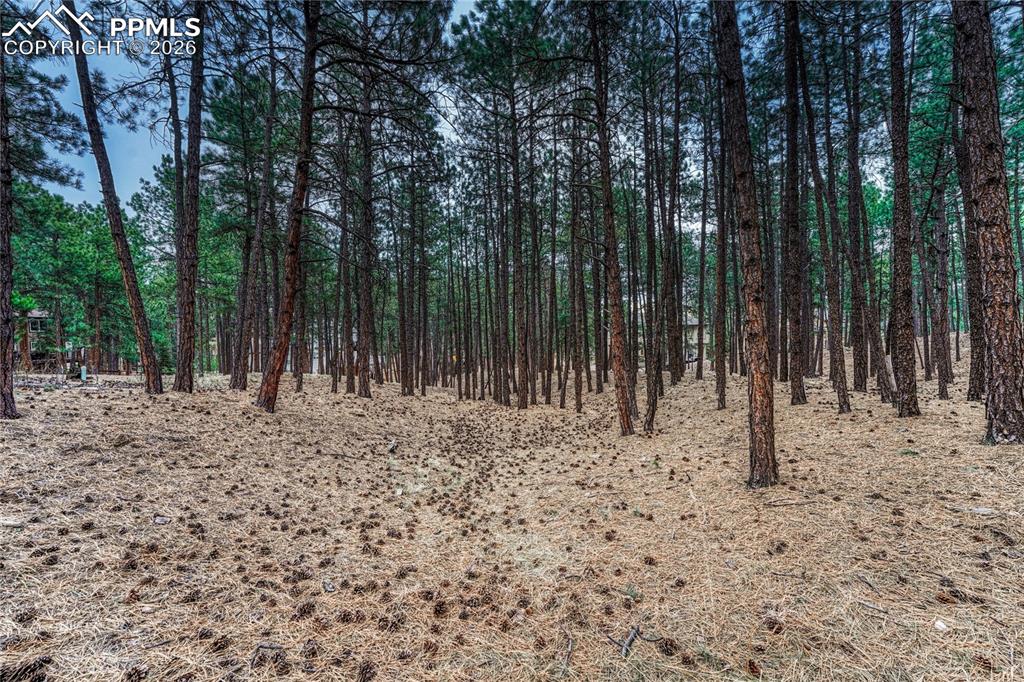 Image 45 of 50: Other