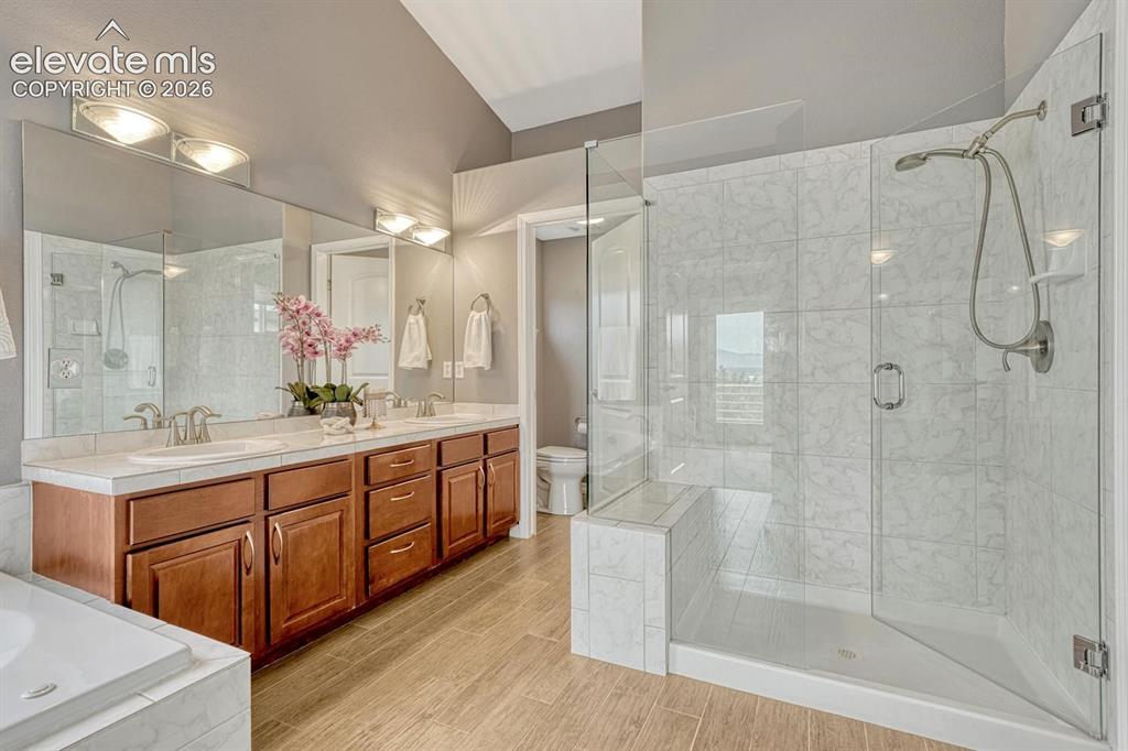 Image 22 of 50: Spacious master spa with 5 pc and walk in closet