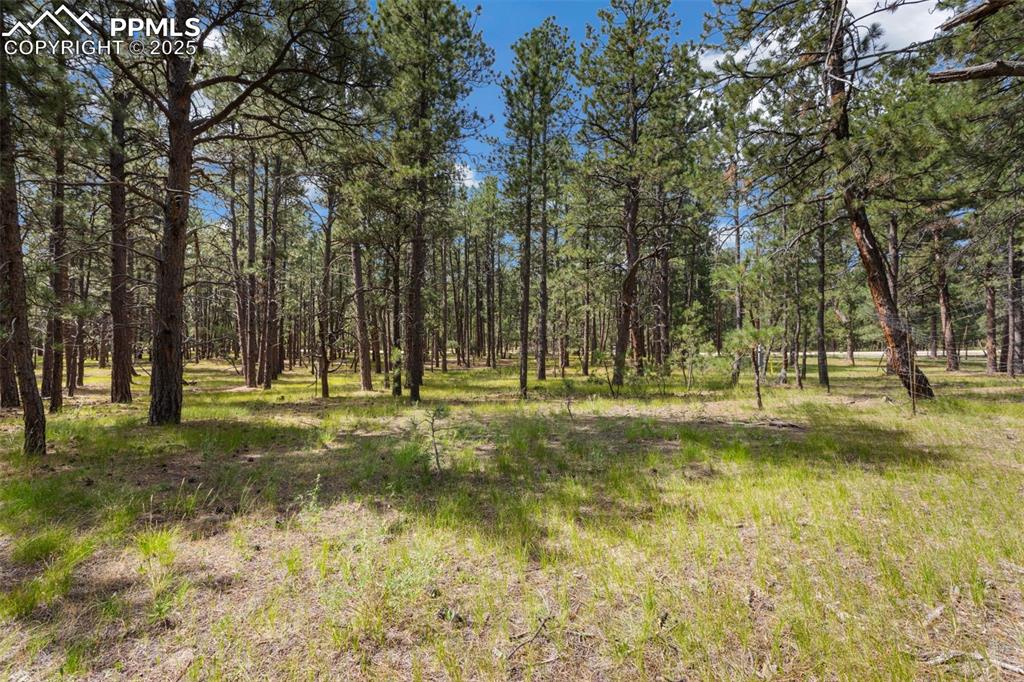 Image 12 of 14: Other