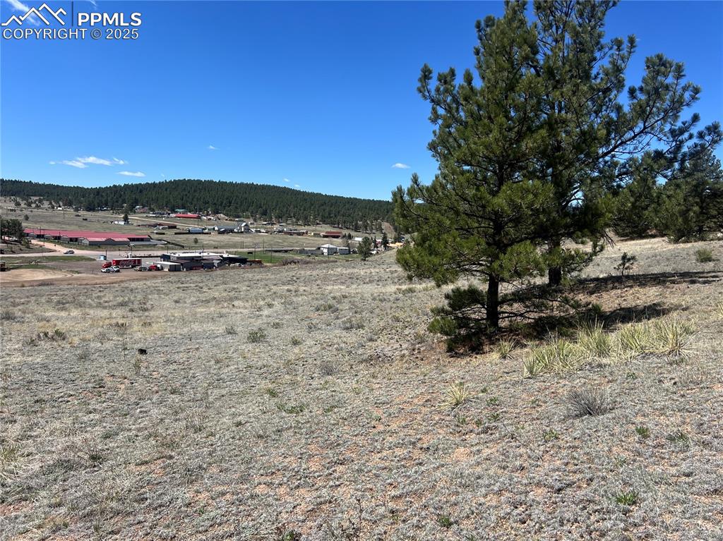 Image 16 of 25: View