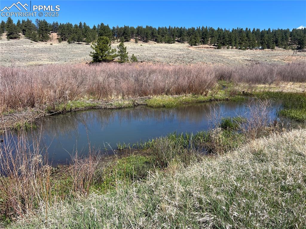 Image 7 of 25: Pond