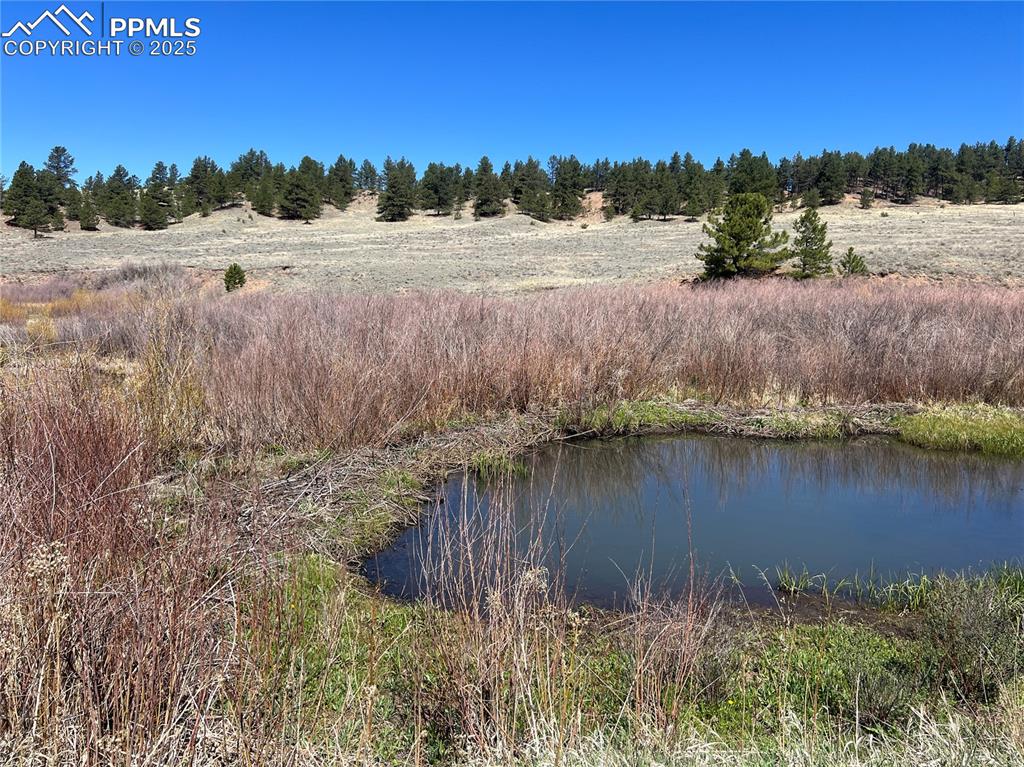 Image 8 of 25: pond