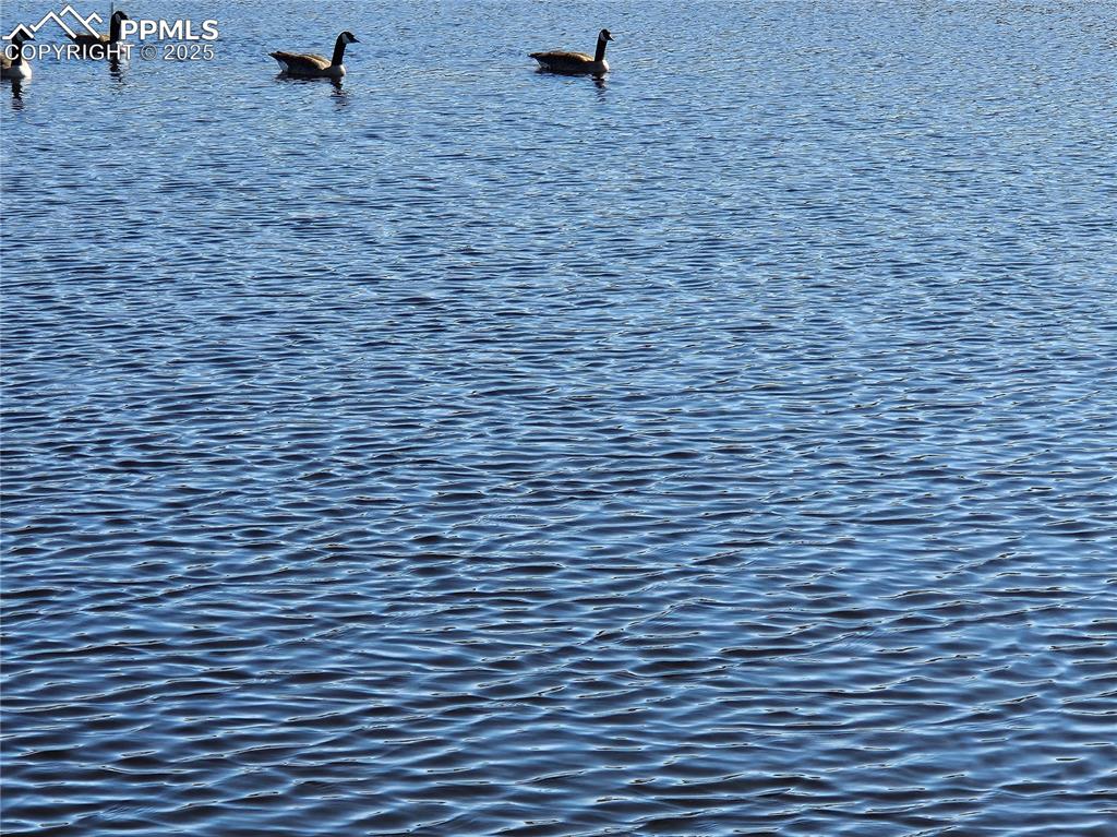 Image 12 of 12: Water view