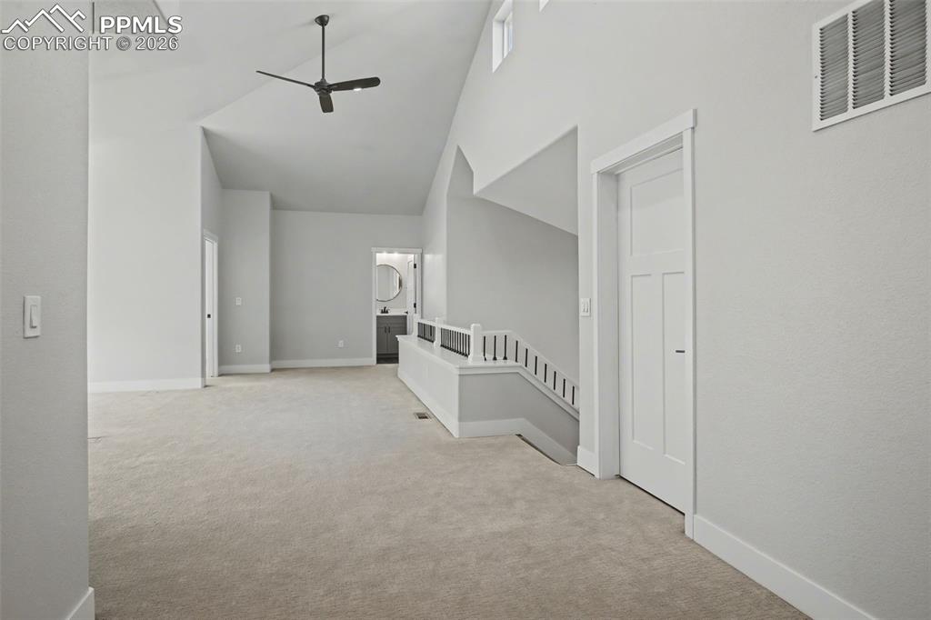 Image 19 of 29: Other