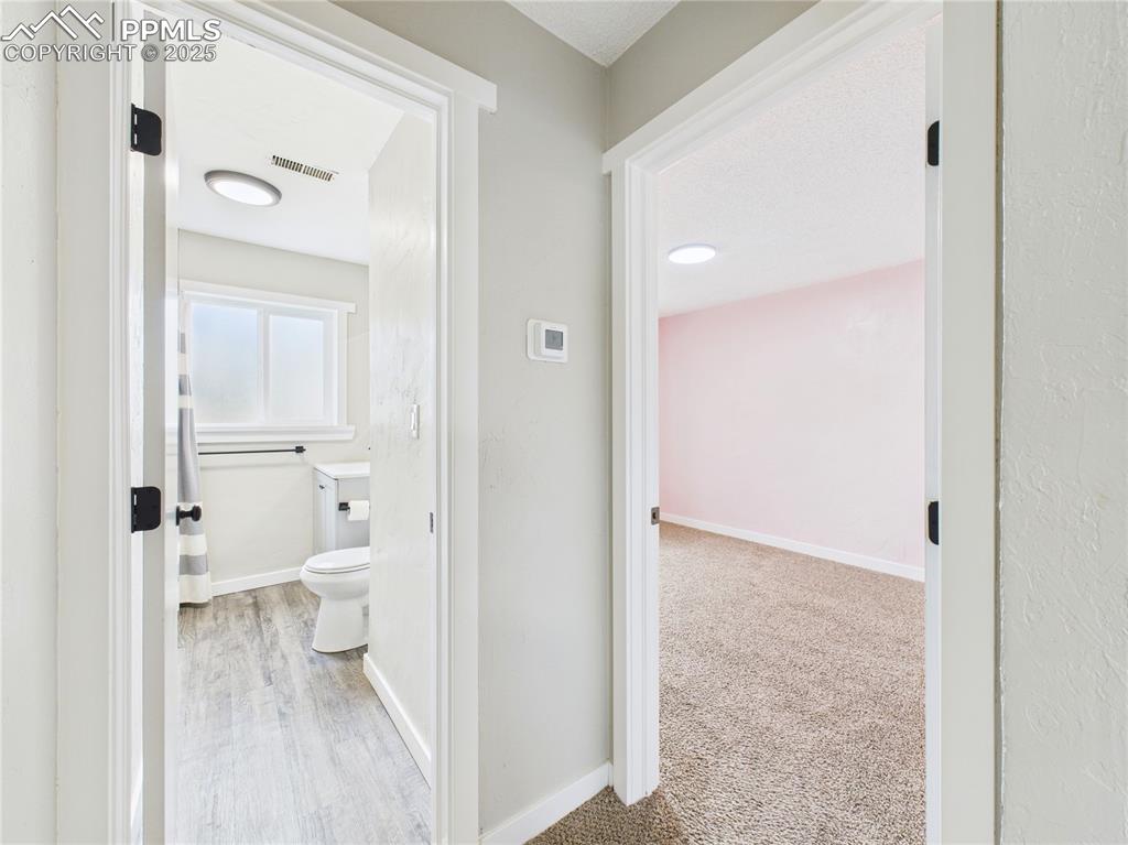 Image 12 of 37: Other