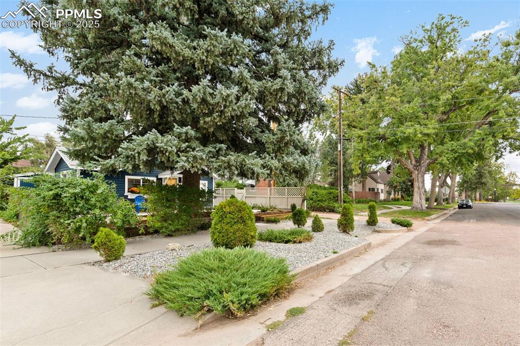 Image 15 of 15: Amazing community 