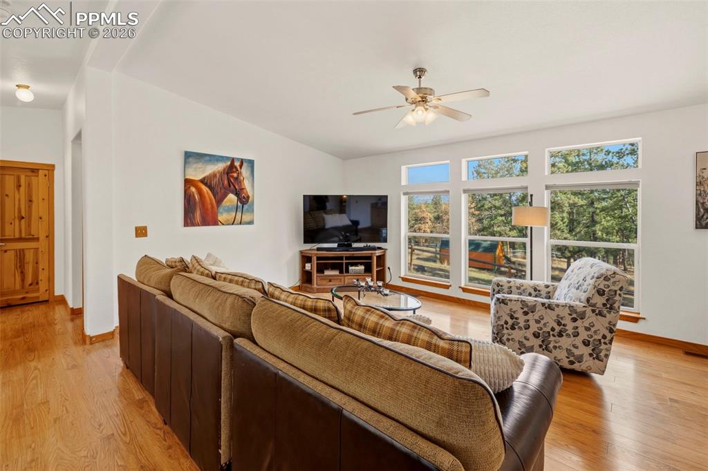 Image 3 of 47: Living Room