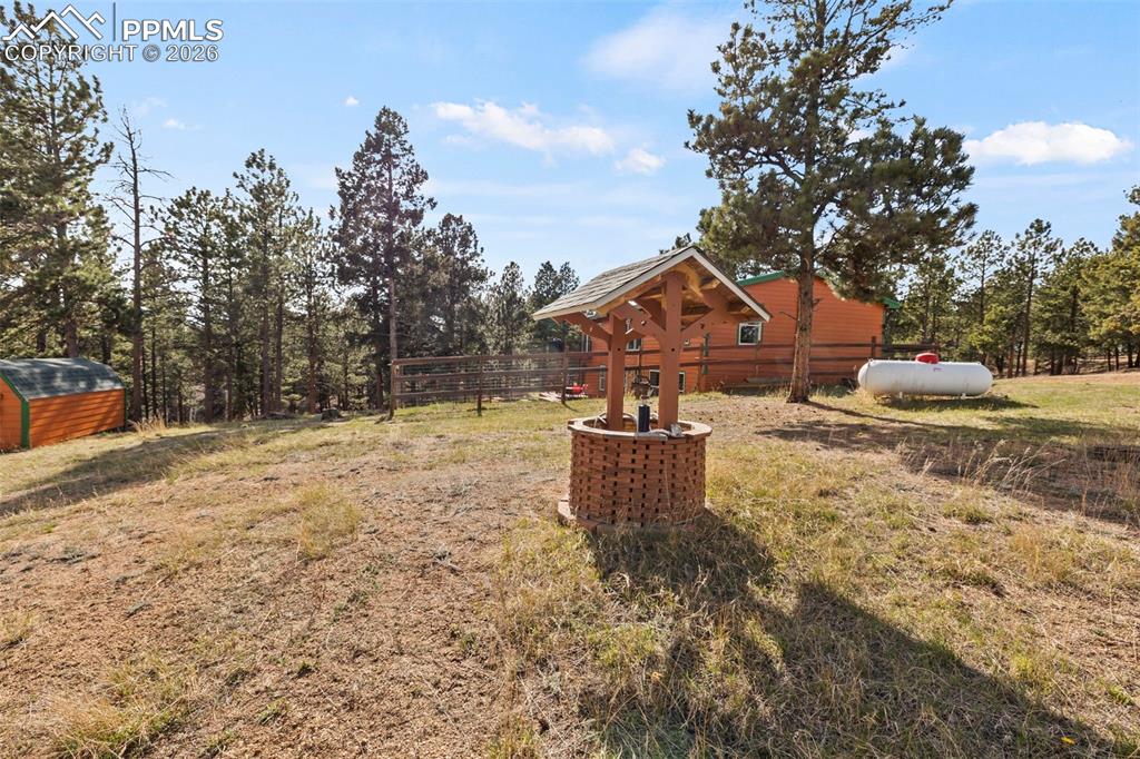 Image 38 of 47: Yard