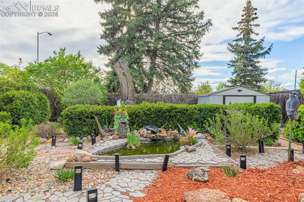 Image 41 of 45: Koi Pond