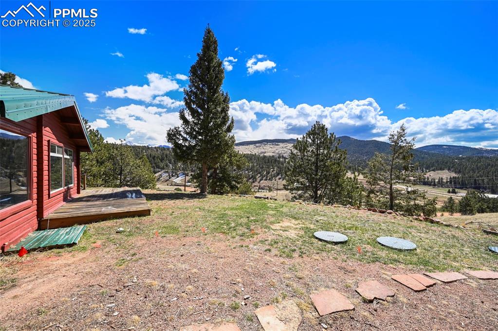 Image 28 of 39: Yard