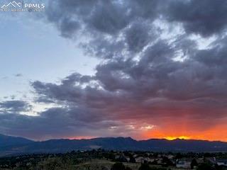 Image 50 of 50: Photo provided by Seller