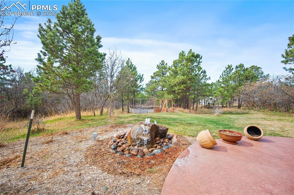 Image 41 of 49: Water feature and large patio area.