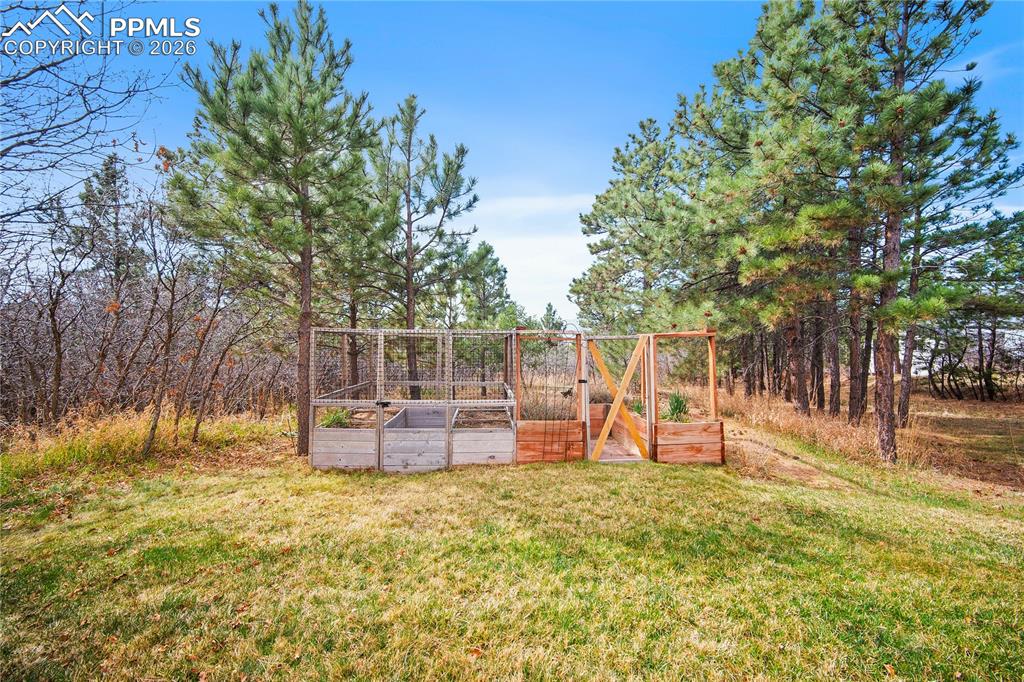 Image 45 of 49: Garden area