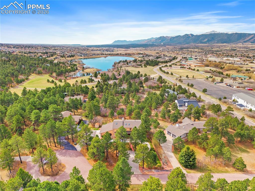 Image 46 of 49: No Description Available