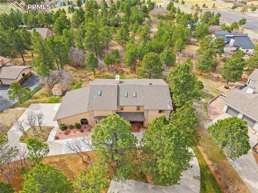 Image 47 of 49: No Description Available