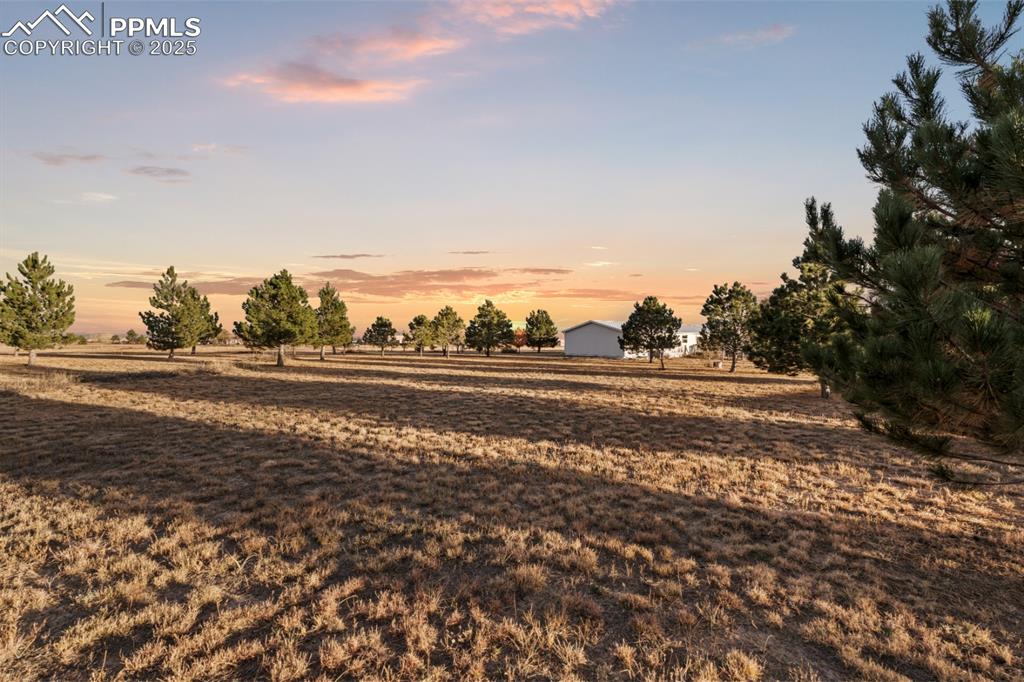 Image 25 of 32: Yard