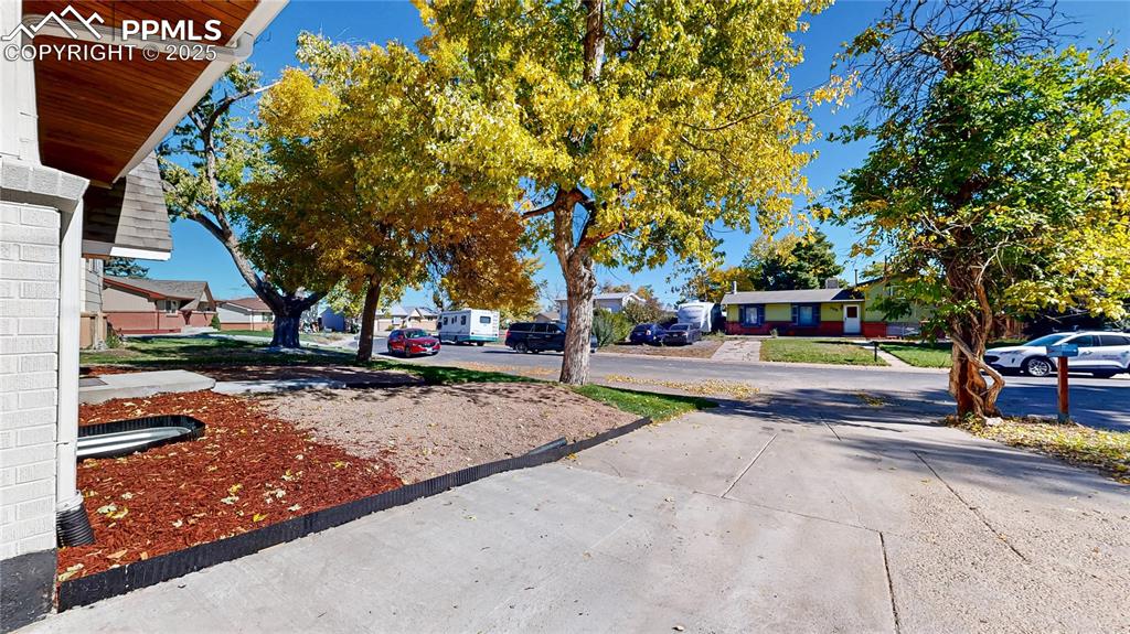 Image 41 of 50: Yard