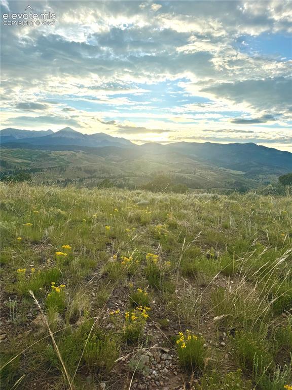 Image 43 of 45: View