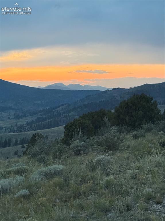 Image 45 of 45: View