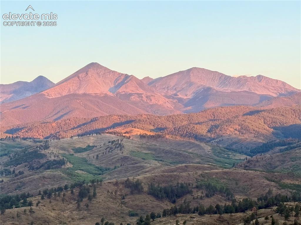 Image 8 of 35: View