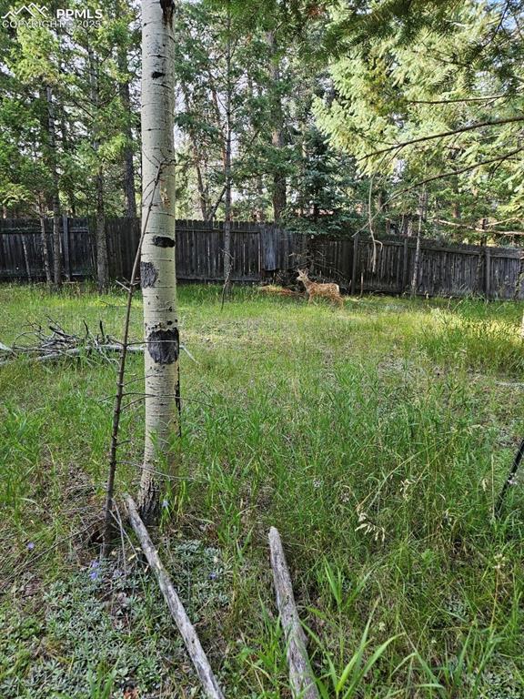 Image 3 of 6: View of yard