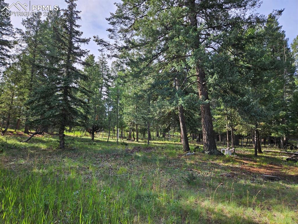 Image 4 of 6: View of nature