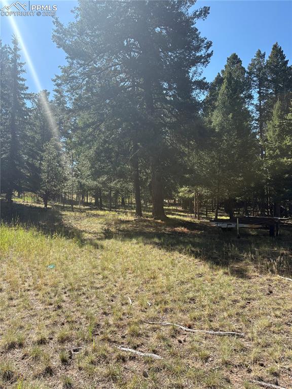 Image 6 of 6: View of yard